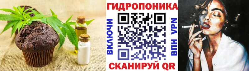 даркнет сайт  Сальск  МЕГА зеркало  Cannafood конопля 