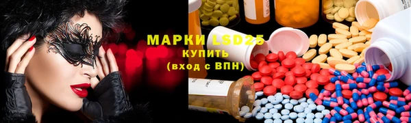 apvp Осинники