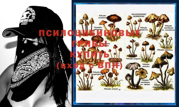 apvp Осинники
