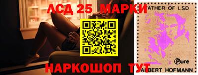 гашик Славгород
