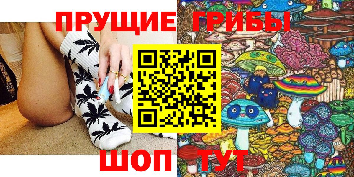 Псилоцибиновые грибы прущие грибы  Вход с VPN  Сальск 