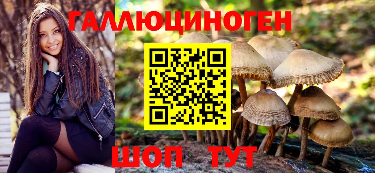 Галлюциногенные грибы MAGIC MUSHROOMS Сальск