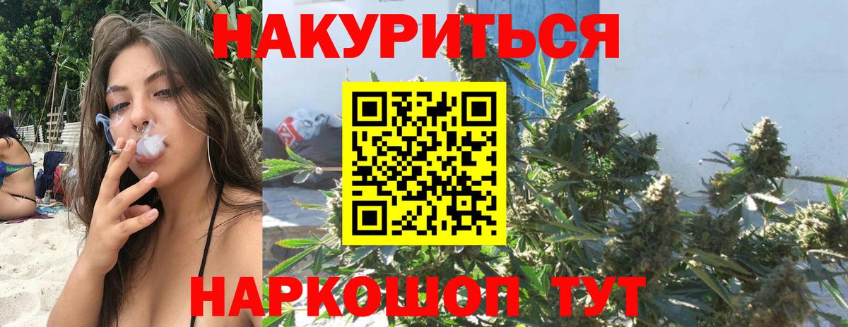 Сальск  Бошки марихуана сатива  Вход с VPN  Бошки марихуана LSD WEED  МАРИХУАНА White Widow 